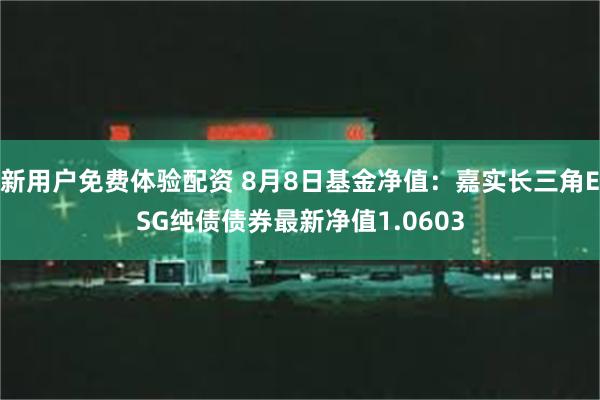 新用户免费体验配资 8月8日基金净值：嘉实长三角ESG纯债债券最新净值1.0603