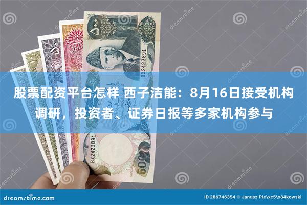 股票配资平台怎样 西子洁能：8月16日接受机构调研，投资者、证券日报等多家机构参与