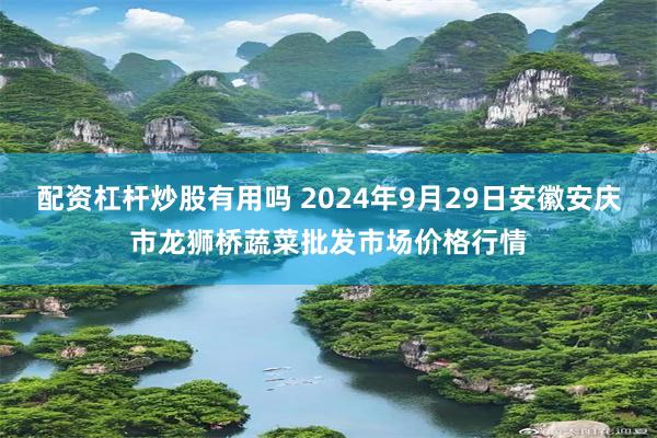 配资杠杆炒股有用吗 2024年9月29日安徽安庆市龙狮桥蔬菜批发市场价格行情