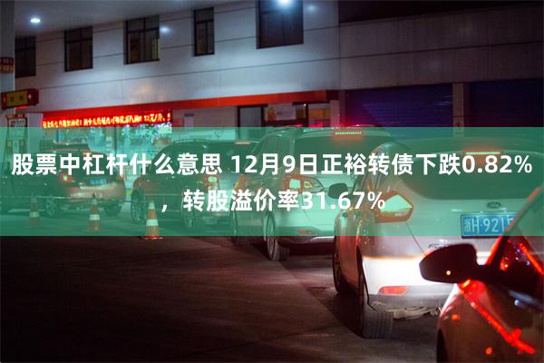 股票中杠杆什么意思 12月9日正裕转债下跌0.82%，转股溢价率31.67%